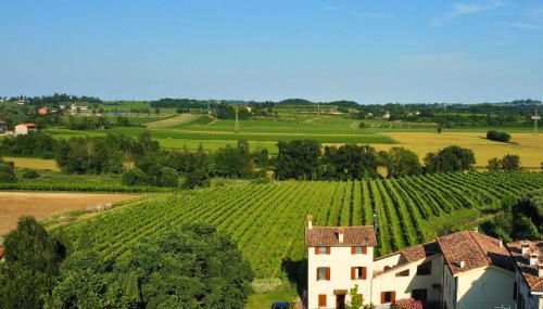 Melina's Wine Retreat - Foto 2