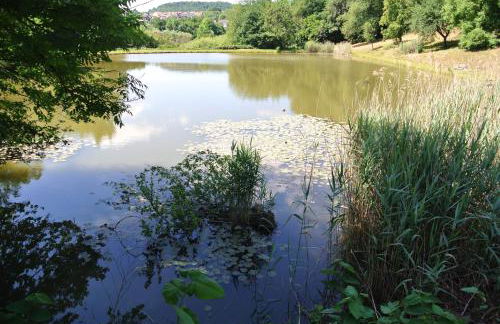 Ferienwohnung zur Mühle - Foto 69