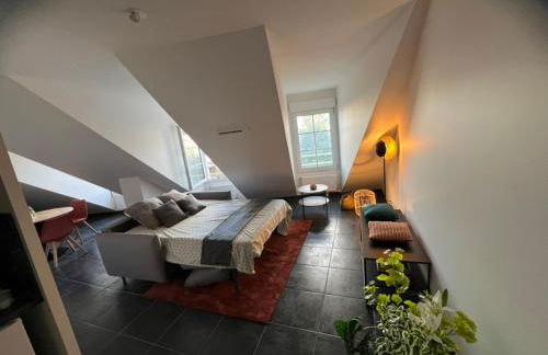 Télétravail pro - Calme, grand espace, plein centre - Foto 19