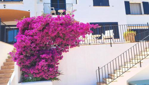 Cala Nostra- Roca Rosa - Foto 3