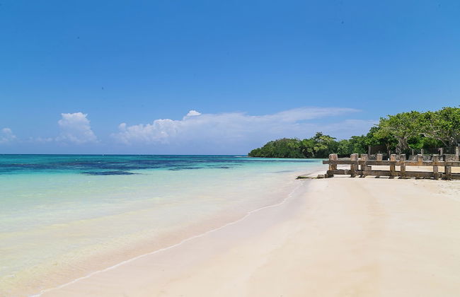 Silver Palms Charming 1BR Private Beach and Pool - Photo 16