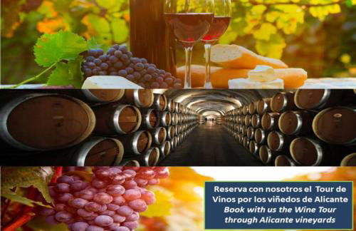 Fidalsa Guardamar Resort - Foto 51