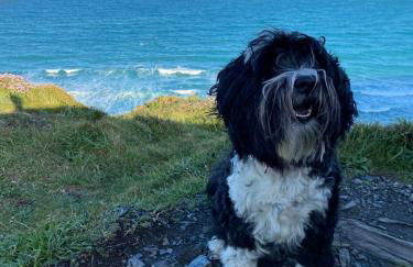 Characterful cottage near Tintagel and coast path - Foto 3