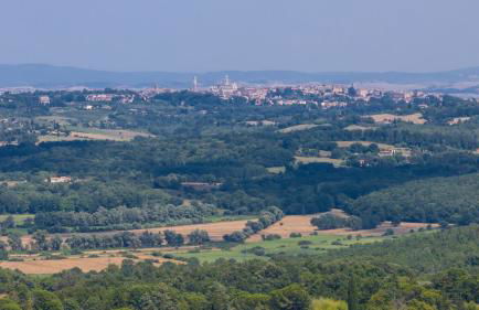 Villa Rinaldi 6 in Carpineta - Foto 78