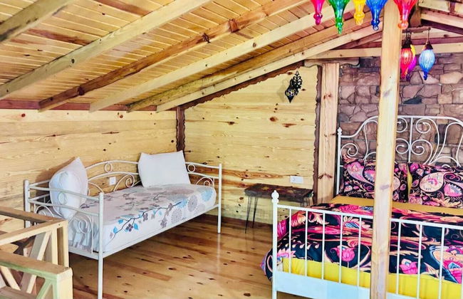 Baran Apart - Foto 59