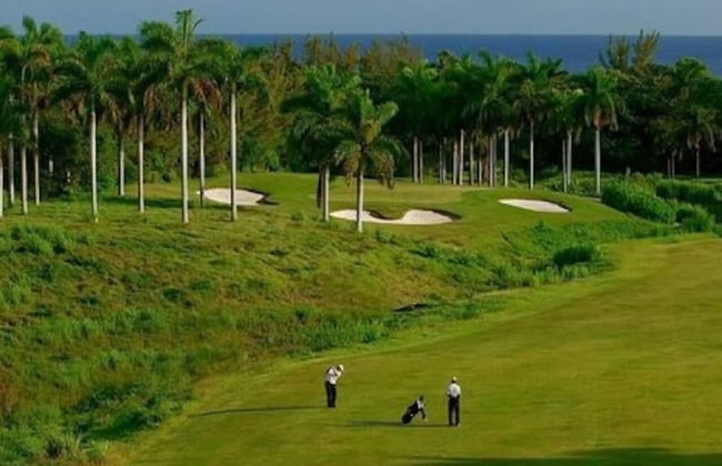 Court Manor at Montego Bay Club - Foto 36