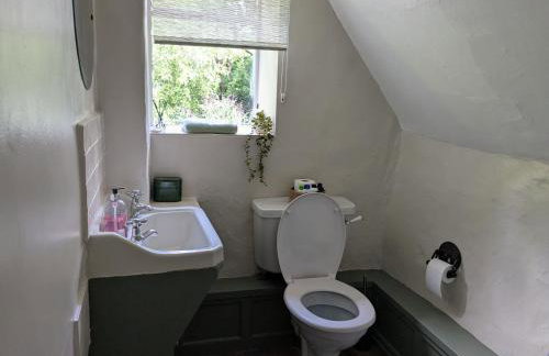 Period Thatched Cottage Towcester - Photo 35