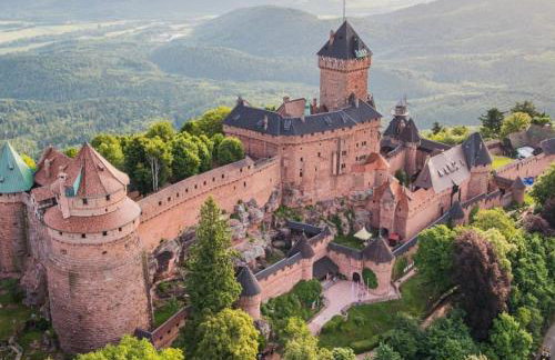 Gîte Bagatelle l'Ecrin du Ried PROCHE EUROPAPARK - Foto 25