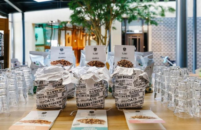 Safari Resort Beekse Bergen - Foto 36