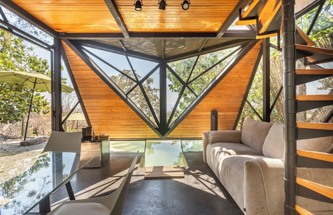 Bosque Geométrico - Foto 37