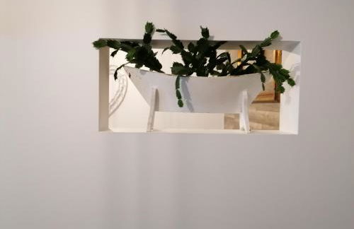 Cantinho do Ilhéu - Photo 87