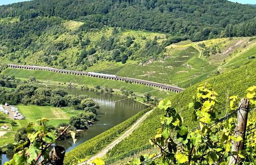 Ferienhaus Kövenig - Foto 38