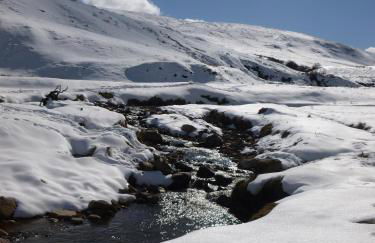 The Cottage - Foto 29