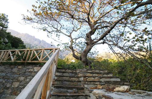 Ικαριων Γη - Photo 49