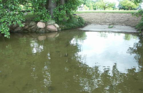 Wald&Wiesengeflüster Zechlinerhütte - Foto 68