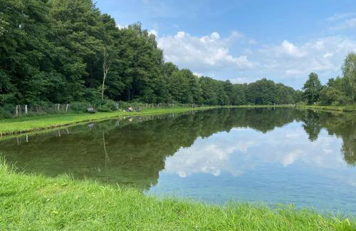 Dom w lesie przy stawach - Foto 53