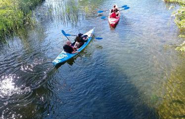 Domki i kajaki u Krysi - Foto 20