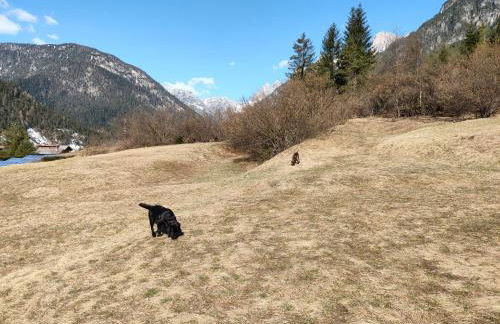 Appartamento Fronte Piste - Foto 14