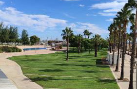 Apartamento nuevo con piscina y amplio balcon - Photo 14