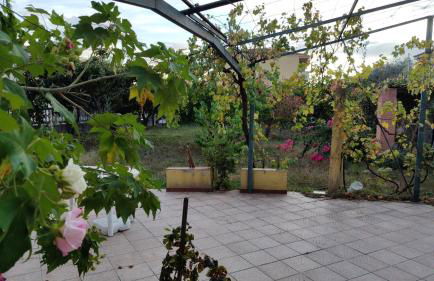 Casa Vacanza Casarcobaleno - Foto 11