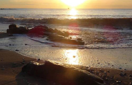 Ty Gwenn, dans un parc boisé, la plage à vos pieds - Foto 31
