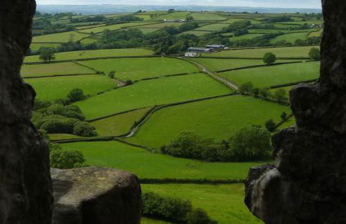 1 Bed in Kidwelly 43409 - Photo 17