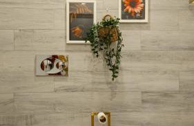 Aurora do Furadouro l - Photo 5