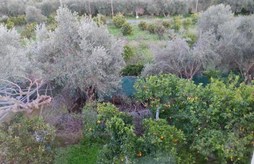 Orange Tree Garden vacation home - Foto 2