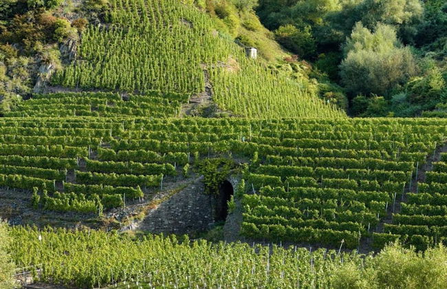 Ernst Lakeside Escape - Foto 20