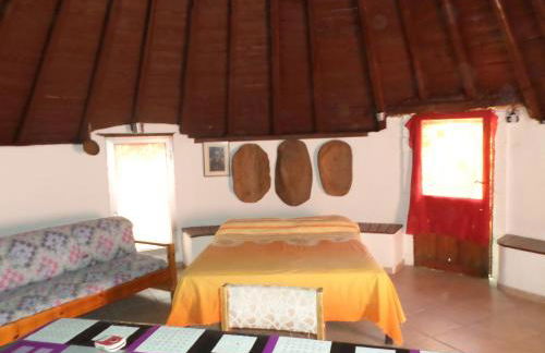 Pinnettu sardo tipica abitazione sarda in ecosistema insetti e animaletti simpatici in condivisione bagno esterno a 10metri Leggere attentamente Prima di prenotare - Foto 53