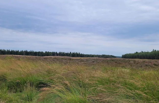 4 Star Holiday Home in Brande - Foto 35