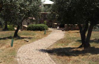 Casa do Sobreiro-Quinta do Briando - Foto 19