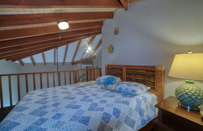 Marazul Belize - Foto 12