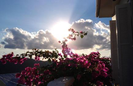 Casa Vista do Vale próxima ao Vale dos Vinhedos - Foto 7