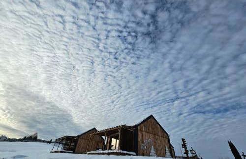 Stodoły w Bieszczadzie domy z basenem i widokiem na góry - Photo 19