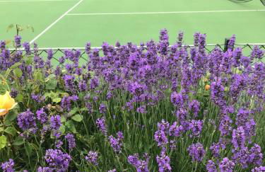 Blueberry Barn, light and airy barn conversion near Bruton - Foto 26