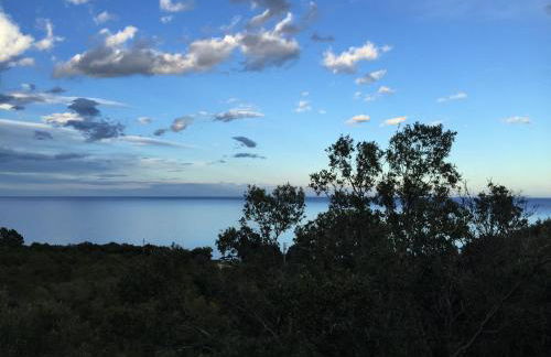 Villa l'Alpana en bois vue mer a 180 degres - Foto 8