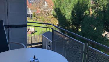 FeWo Sulzbachtal, Nähe Europa-Park, Rulantica, Schwarzwald, Feldberg - Foto 3, Garden view