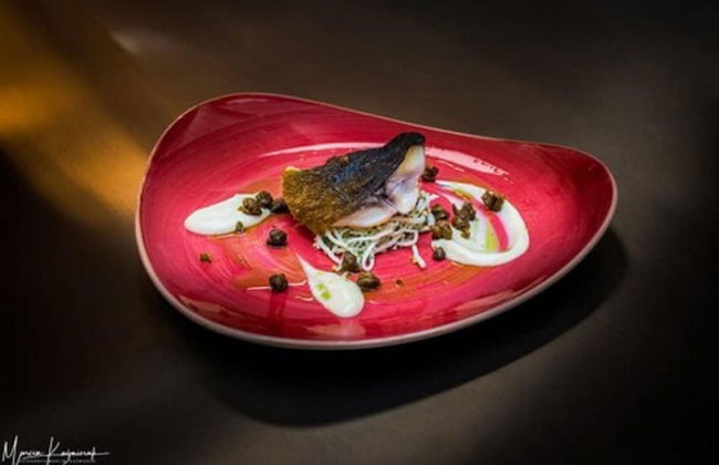 Norweska Dolina Luxury Resort - Foto 43