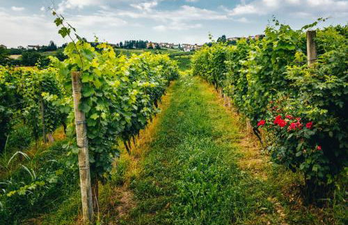 Agriturismo Dacapo - Foto 16