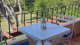 La tartaruga - Photo 3