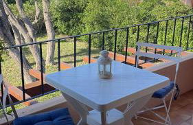 La tartaruga - Photo 3