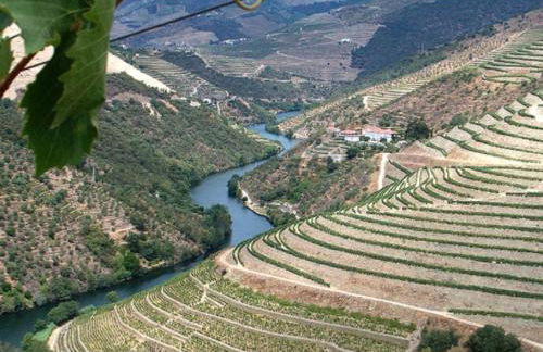 Douro House Loft - Foto 28