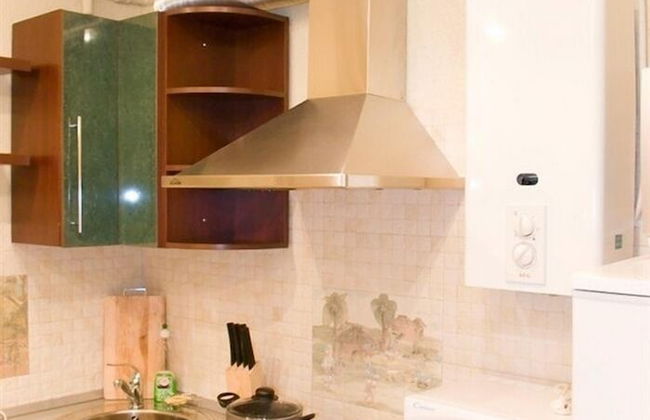 Megapolis Apartments on Nikitinskaya street 21 – apt 70 - Photo 4