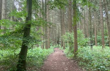 K 357 - Low budget Hotel in Ratekau bei Lübeck - Foto 77