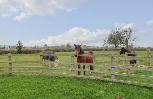 Little Gem - Foto 29