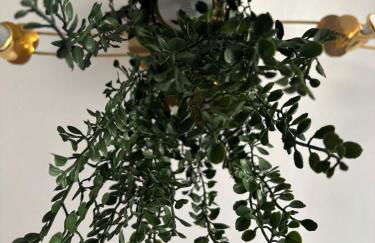 Alojamiento Completo en Gijón - Foto 26