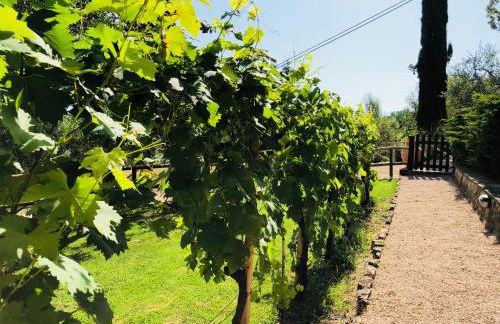 Agriturismo Borgo Il Bonagino - Foto 58