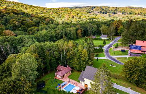 Nice Home In Brestovac With Sauna - Foto 15