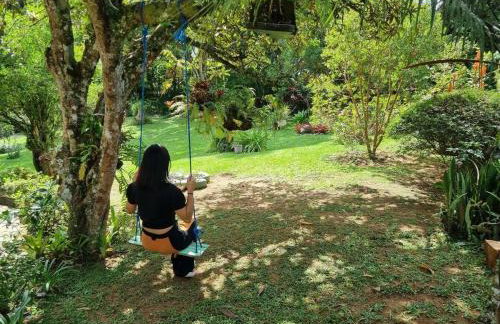 Sítio Preguiça - Foto 85